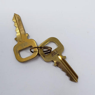 Louis Vuitton goldtone lock and keys set #303